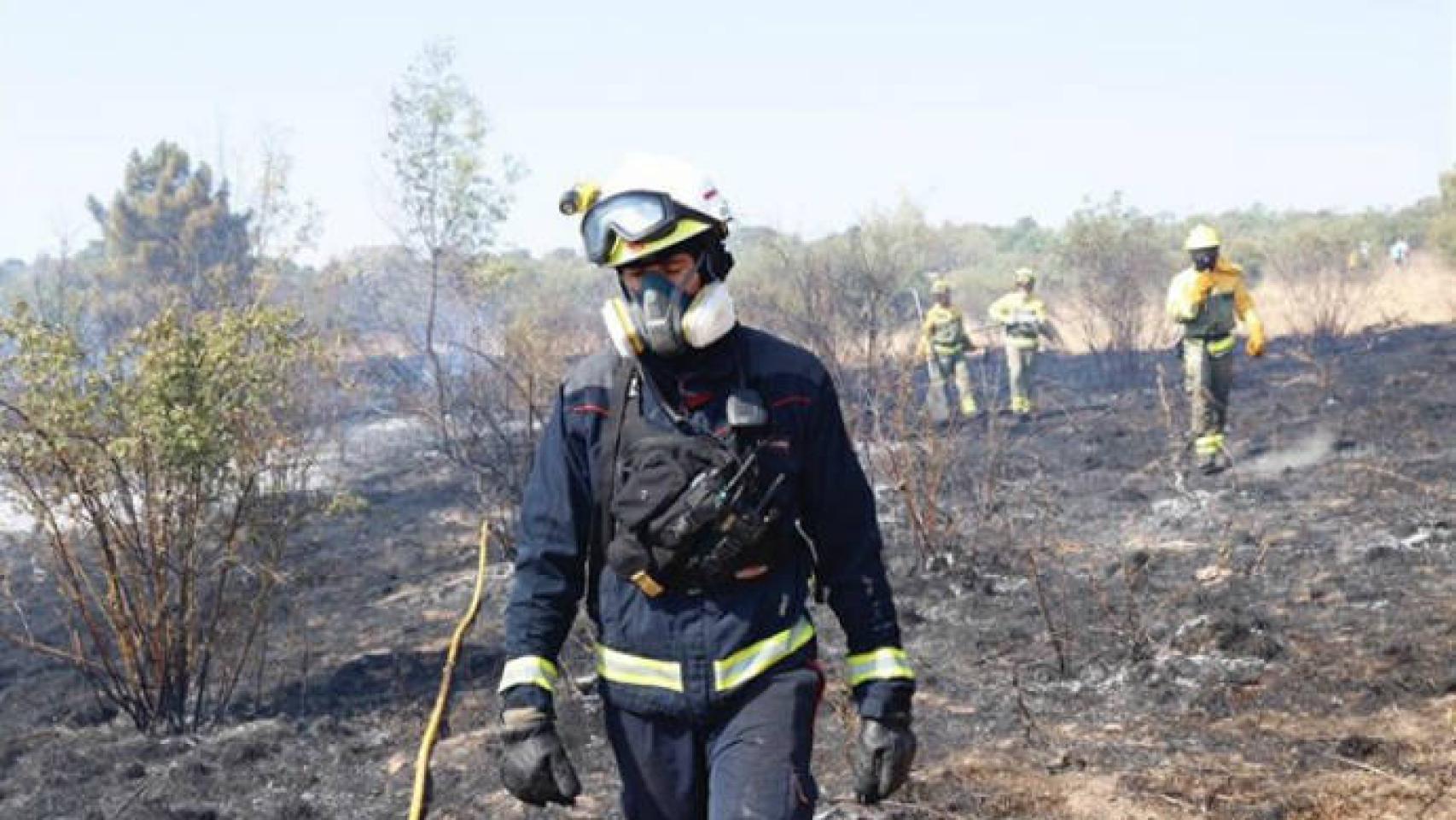 Varios efectivos trabajando contra el incendio