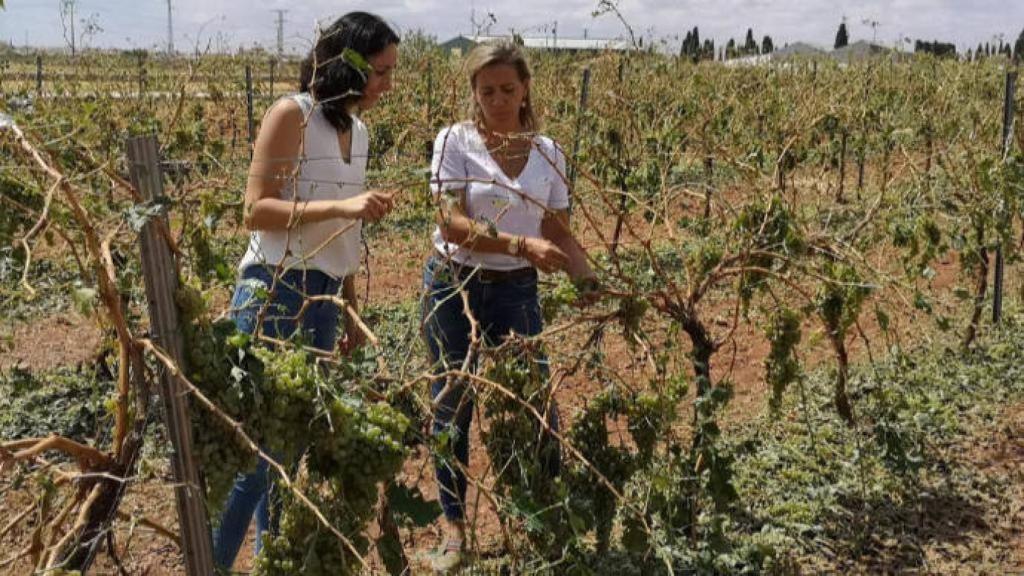 Lola Merino durante su visita a Villanueva de los Infantes