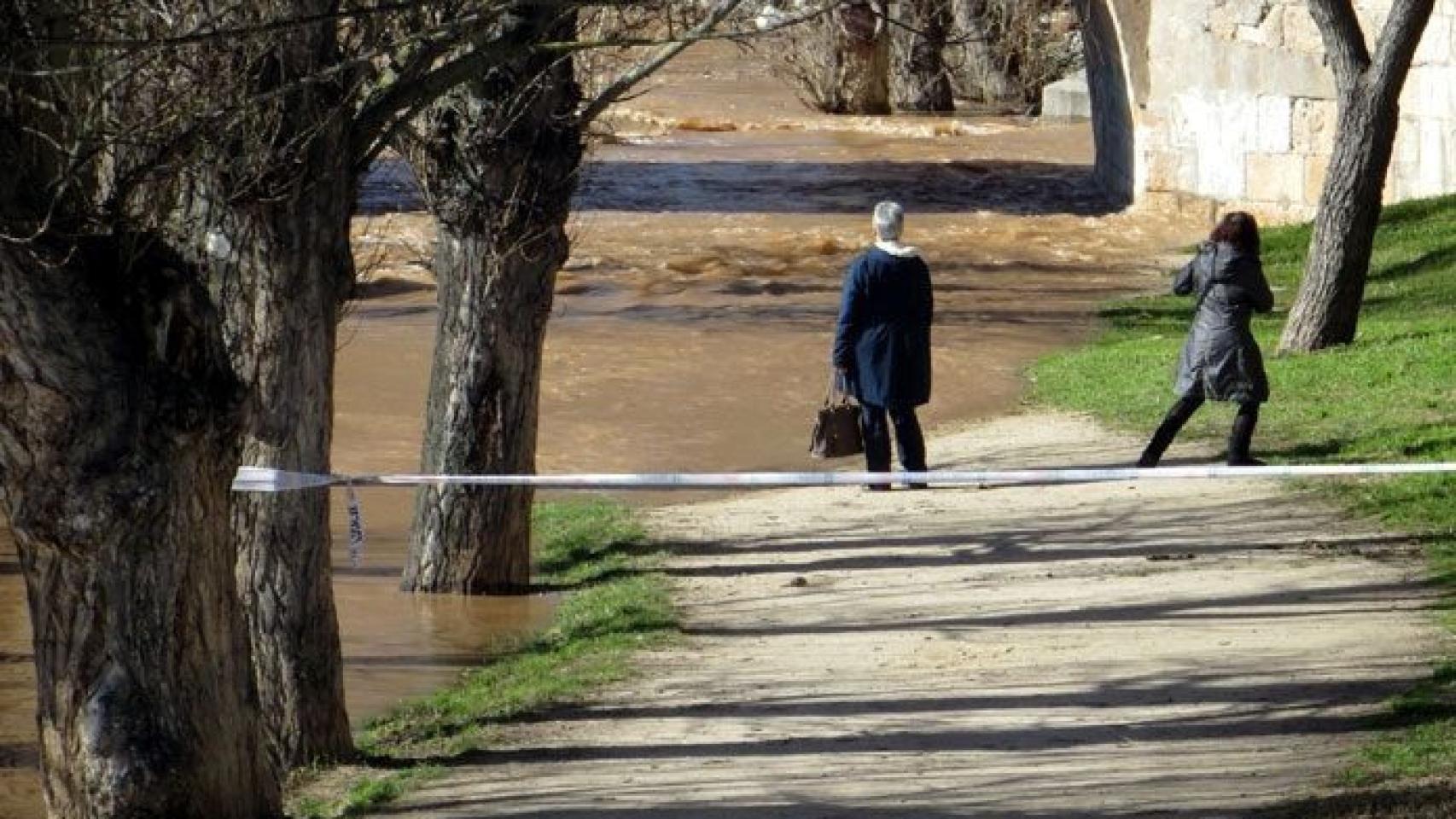 crecida duero zamora 2