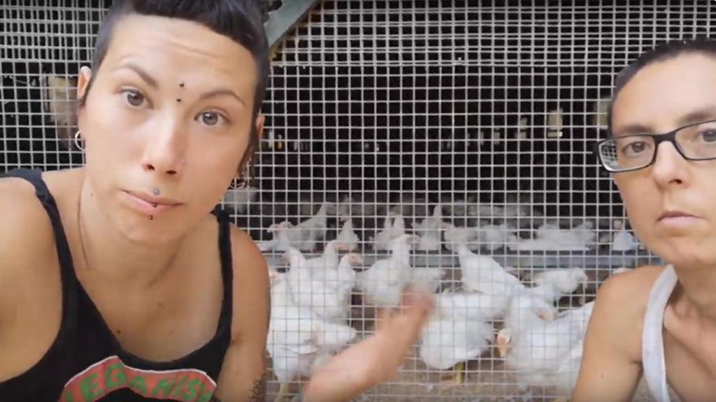 Fani, a la izquierda, junto a un campo de concentración de gallinas.