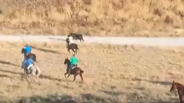 Muere un hombre de 70 años tras recibir una cornada en el quinto encierro de Cuéllar (Segovia)