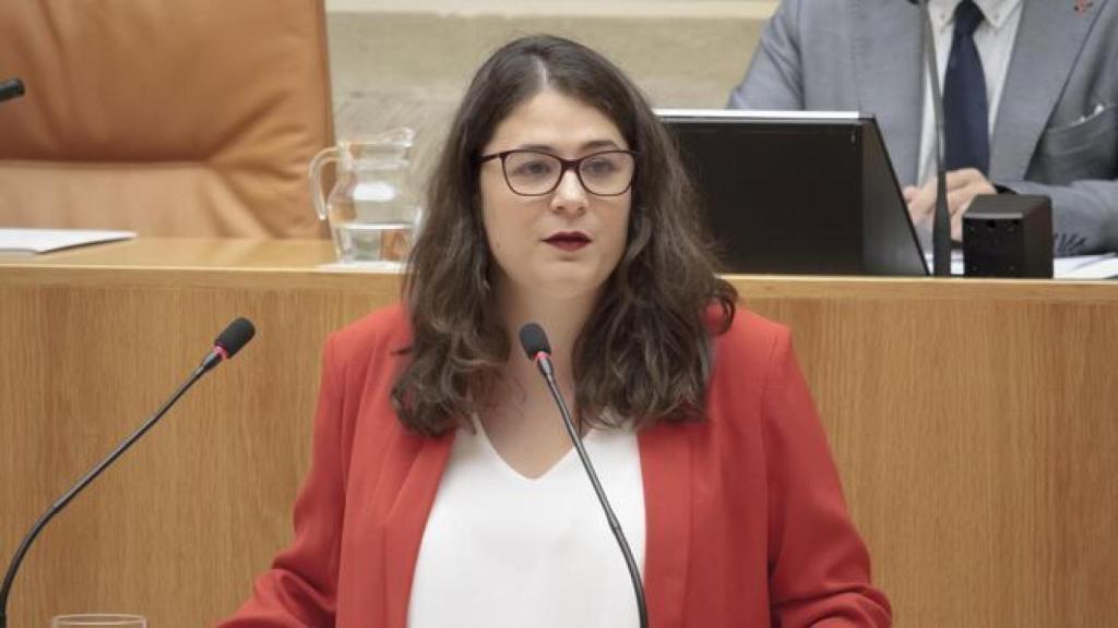 Raquel Romero Alonso, diputada de Podemos-Equo.