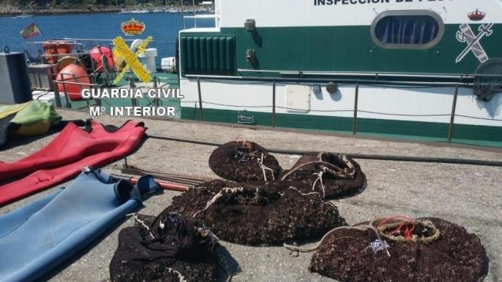 Investigados nueve furtivos con 229 expedientes abiertos en A Coruña