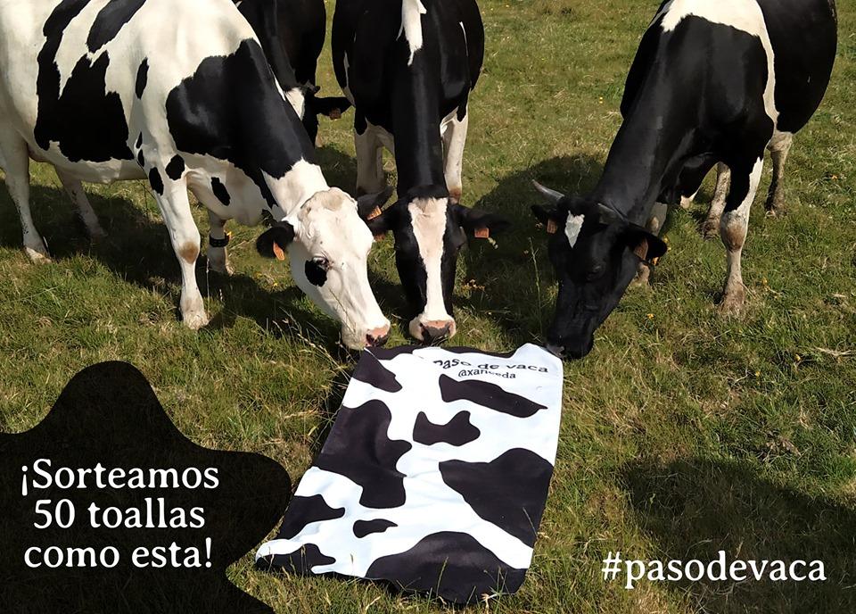 La última campaña de Xanceda sobre los Pasos de Vaca (@xanceda)