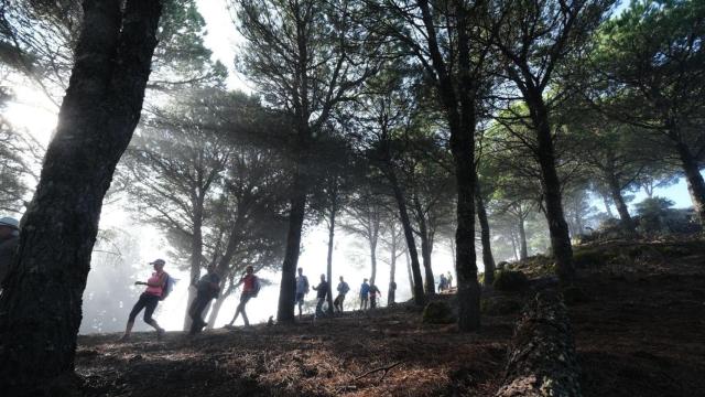 El Camino de Valores: así es la iniciativa de reinserción de menores condenados que parte de A Coruña