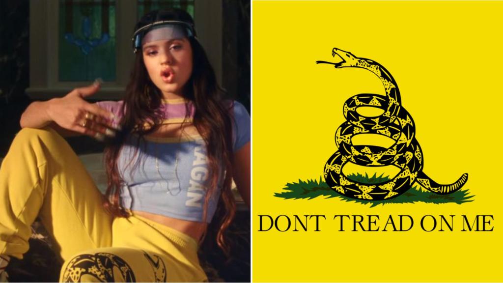 Don't tread on me, es decir, no me pisotees, un emblema libertario que se remonta a 1775.