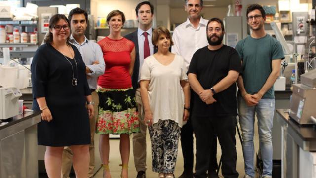 De izda. a dcha.: Marta Román, Fernando Domínguez, Laura Padrón-Barthe, Pablo García-Pavía, Giovanna Giovinazzo, Enrique Lara-Pezzi, Demetrio J. Santiago y Javier Larrasa-Alonso.