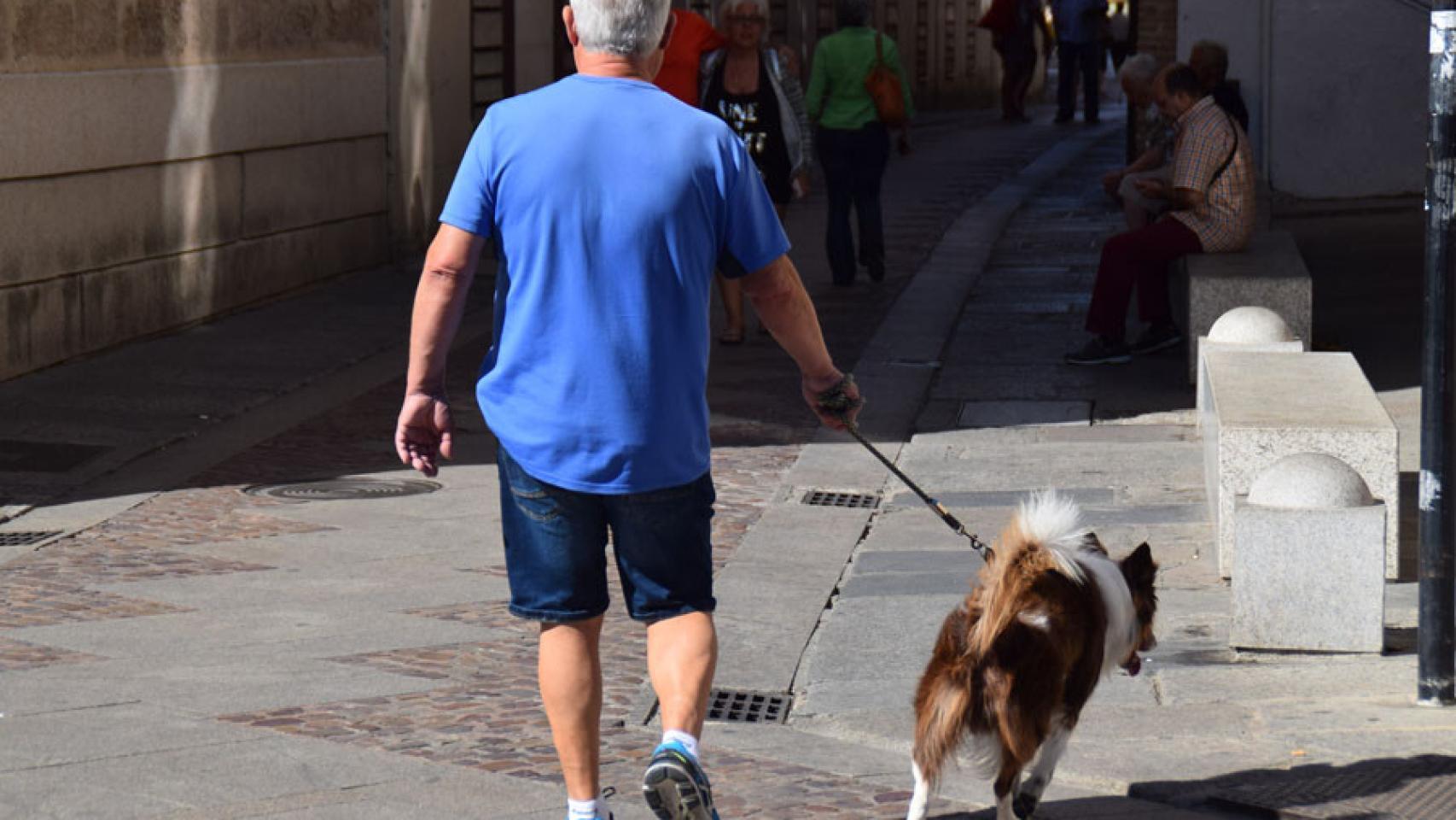 Desde el consistorio, pretenden mejorar las instalaciones de los canes en la ciudad.