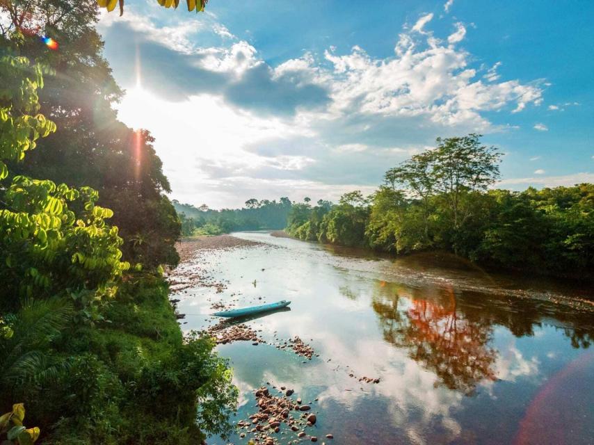 Parque Nacional de Ulu Temburong, naturaleza en estado salvaje.