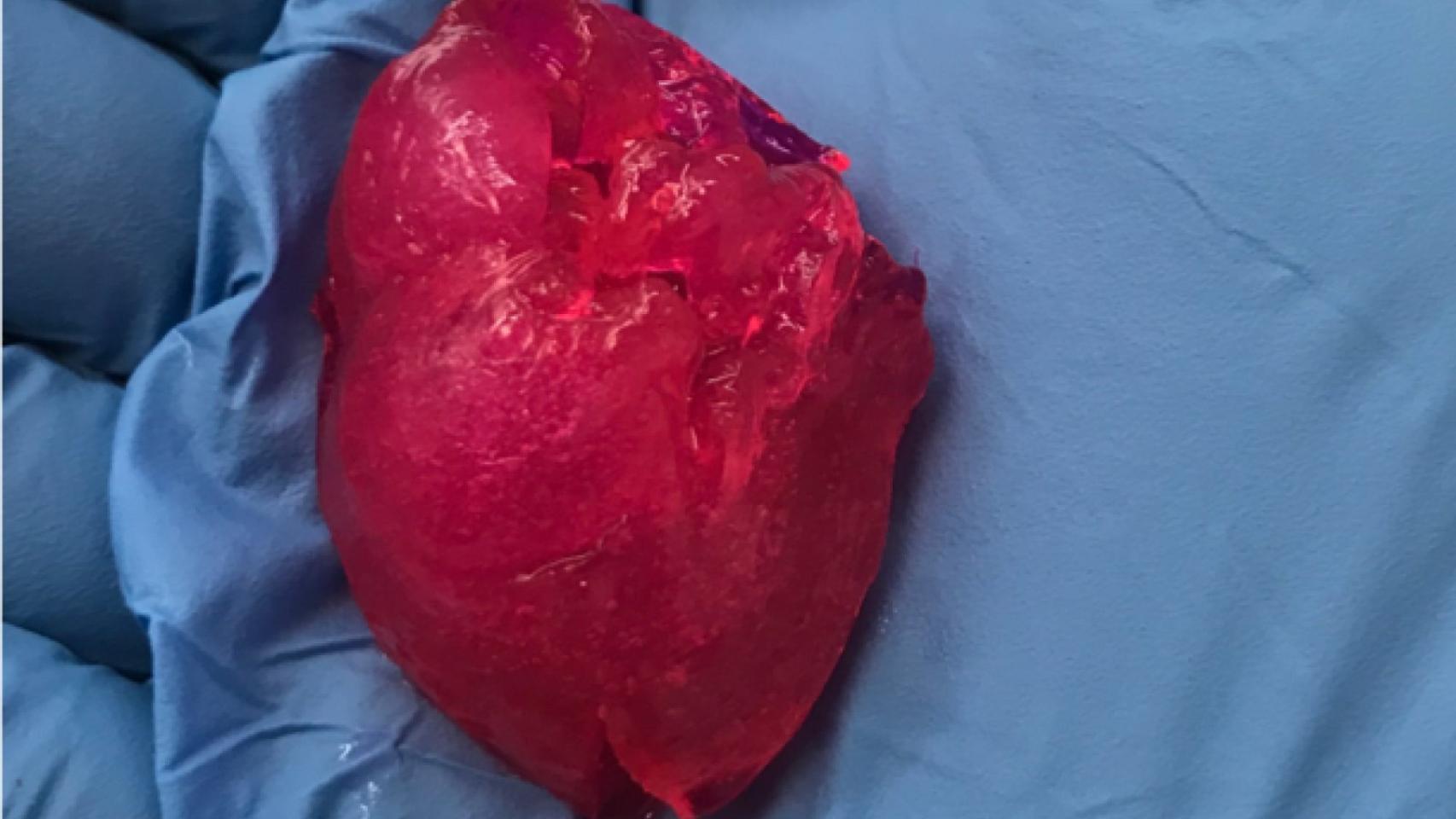 Corazón impreso en 3D