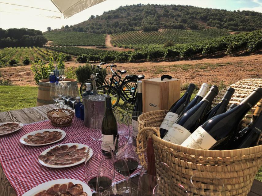 El picnic en el viñedo de Cepa 21.