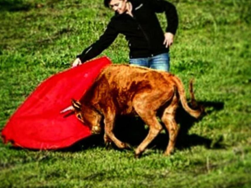 Blanca muleteando a un becerrillo en el campo. El toreo era otra de sus grandes pasiones.