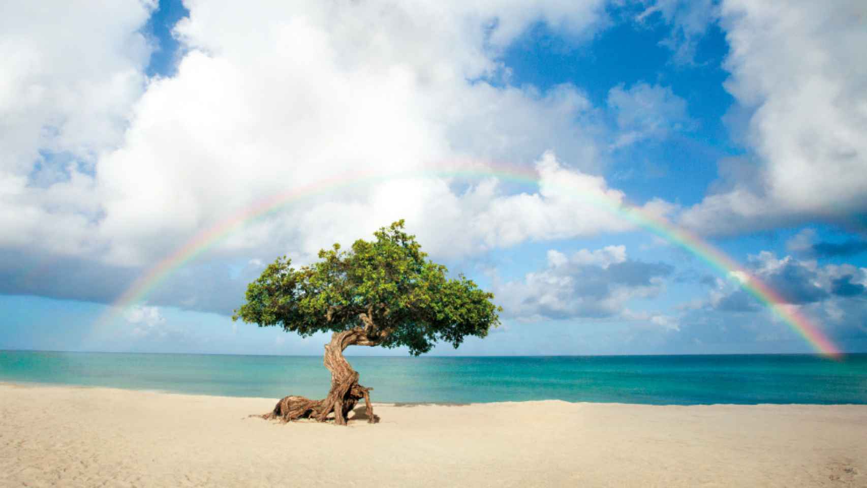 Aruba, extiende tu verano en las playas perfectas.