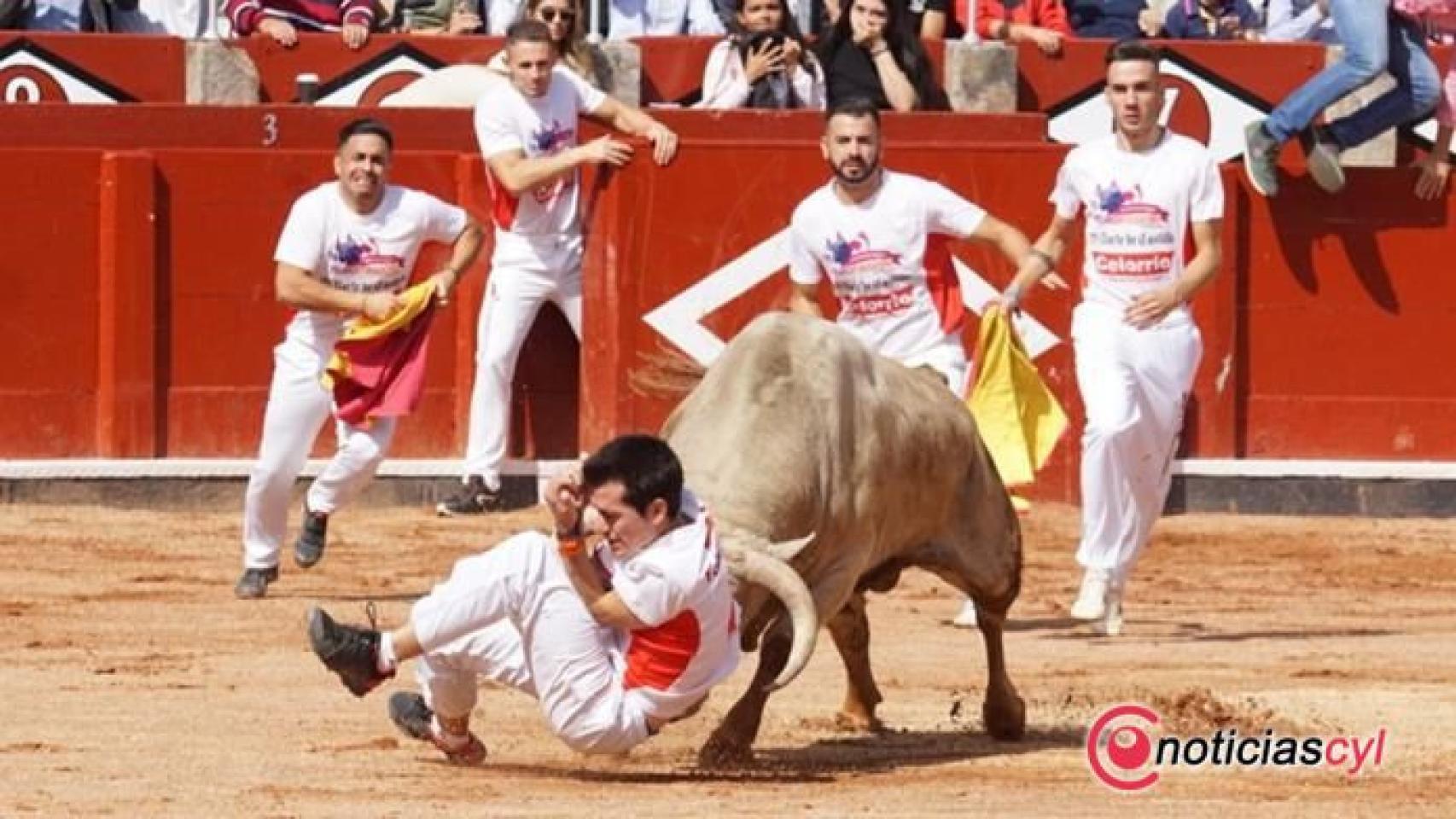 Castilla y León