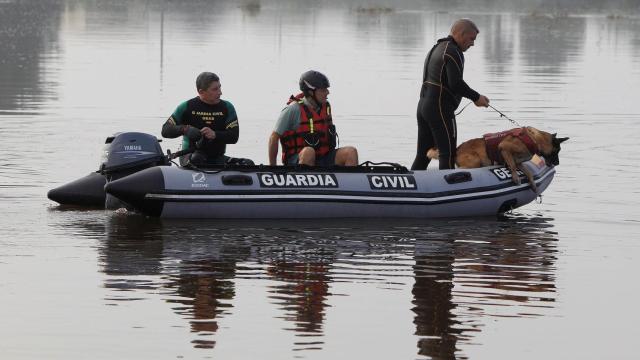 Buzos y perros especializados han estado buscando al hombre de 66 años.