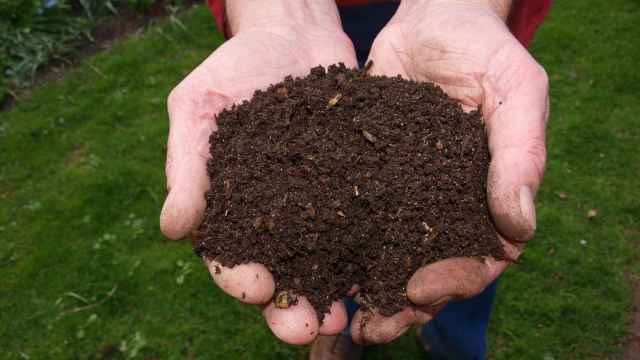 Los restos humanos pueden convertirse en abono para fertilizar un huerto o plantar un árbol.