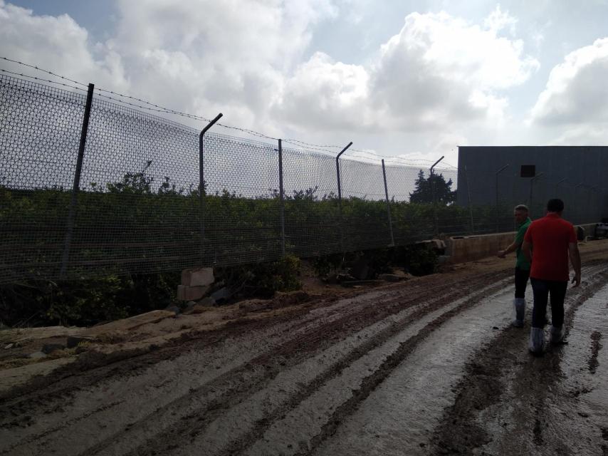 La fuerza del agua reventó las compuertas de una de las naves donde estaban los corderos y destrozó el muro perimetral del cebadero.