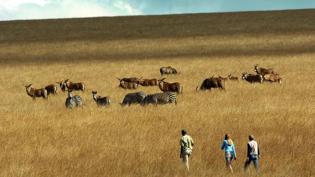 Malawi, un safari en otoño bien merece la pena