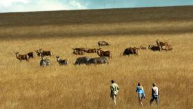 Malawi, un safari en otoño bien merece la pena