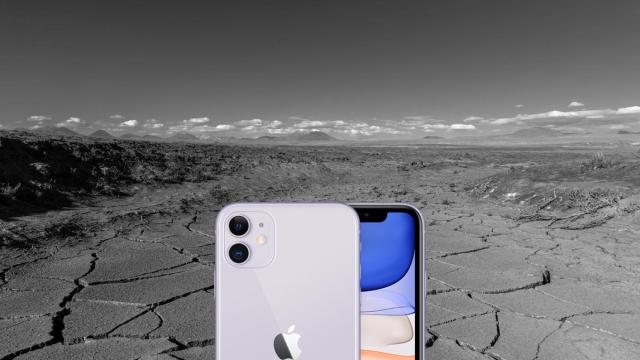 iPhone 11.