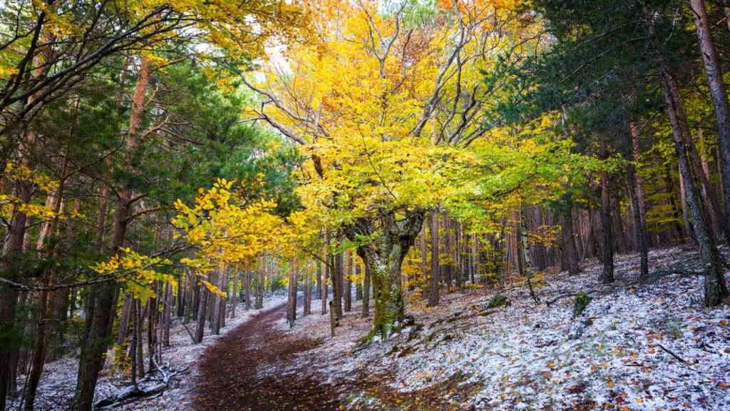 El paisaje es simplemente maravilloso y los colores del otoño le confieren un aura misterioso.