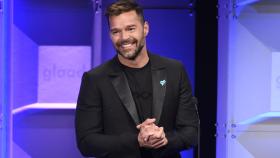 El cantante Ricky Martin.