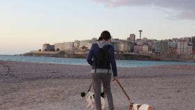Los perros de A Coruña regresan a las playas