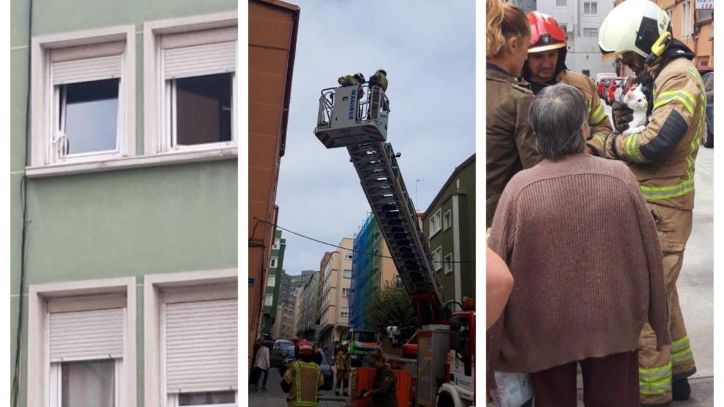 Los Bomberos de A Coruña rescatan a un gato atascado en una ventana