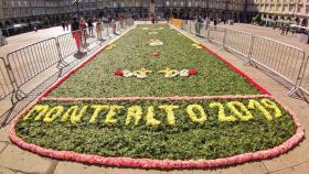 La alfombra floral del Rosario de A Coruña ya luce en María Pita