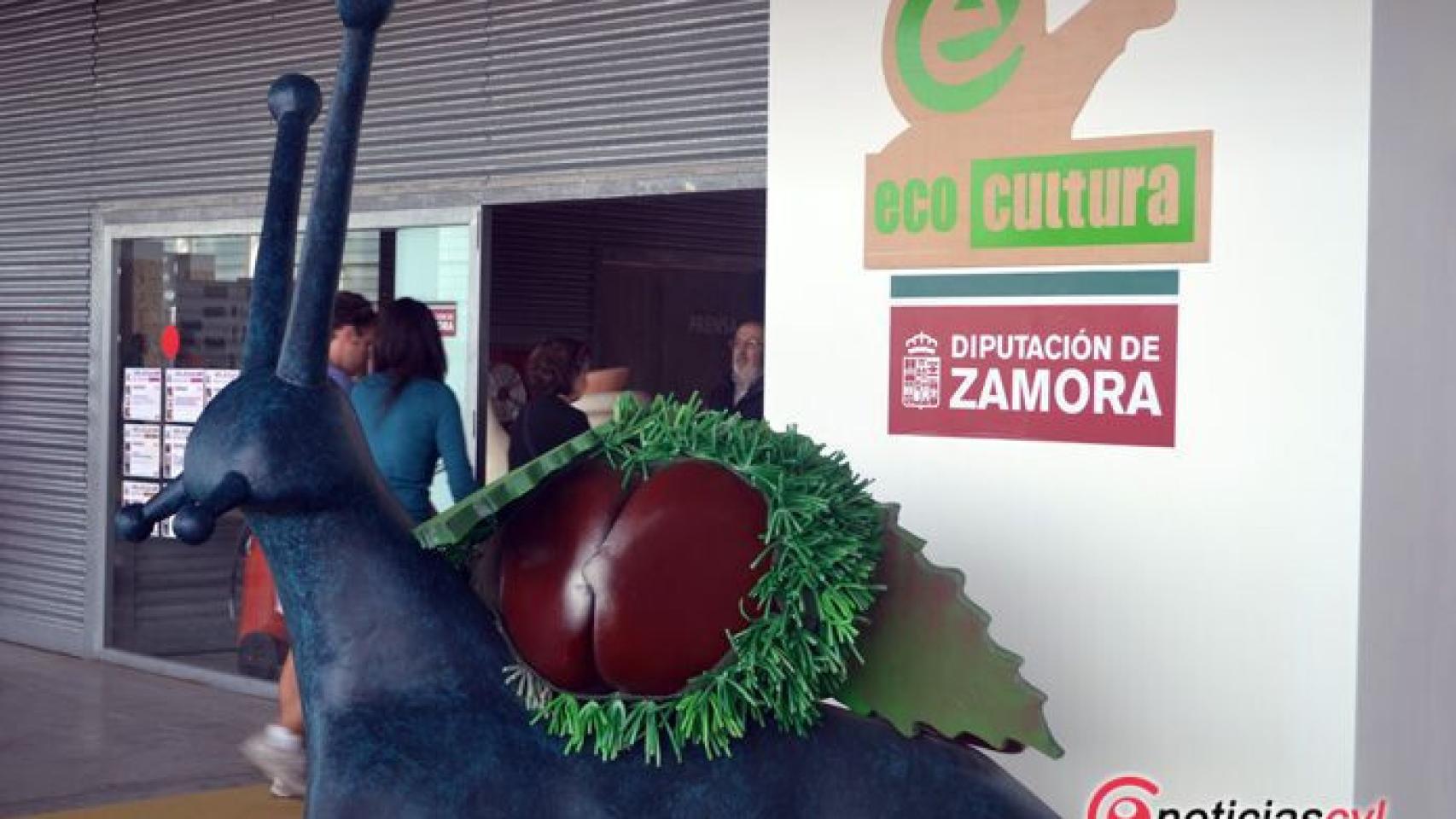 zamora ecocultura (13)