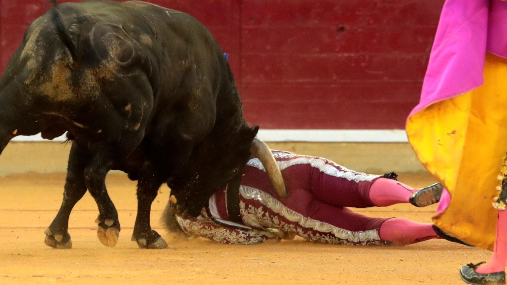 Sigiloso, de Montalvo, cornea a Mariano de la Viña en la espalda