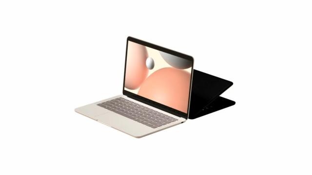 El PixelBook Go (img) es el último portátil de Google hasta ahora