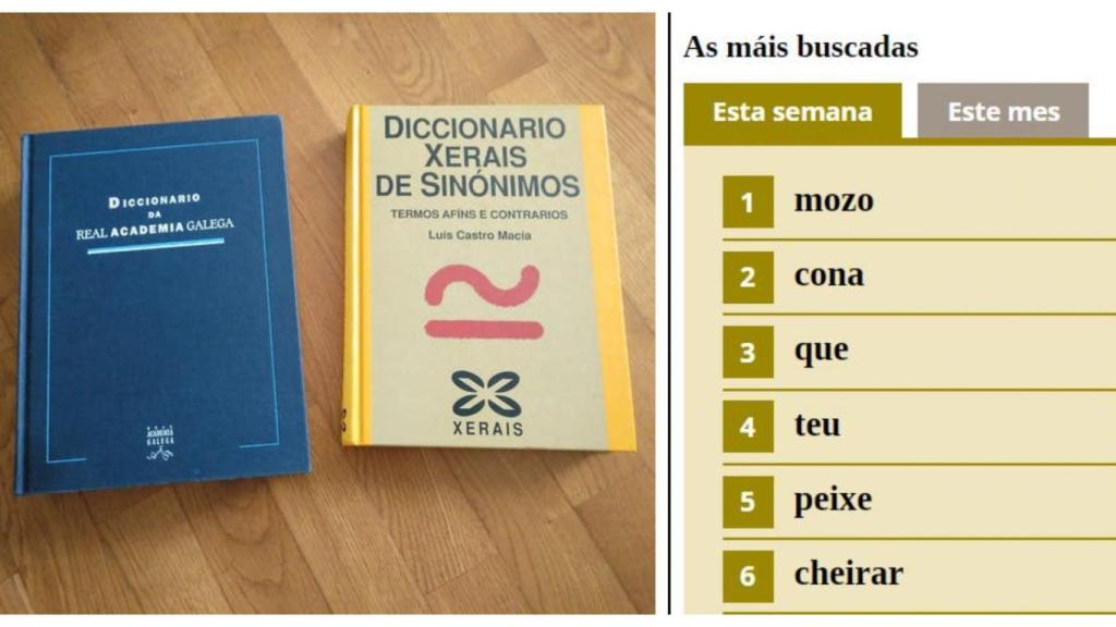 Mozo, Cona, Peixe o Cheirar, las palabras más buscadas en la Academia Galega