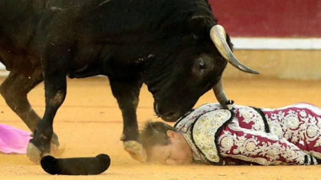 Mariano de la Viña fue cogido el pasado domingo en Zaragoza. Foto de Javier Cebollada para EFE