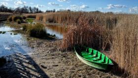 Las Tablas de Daimiel vuelven a los peores momento de su historia