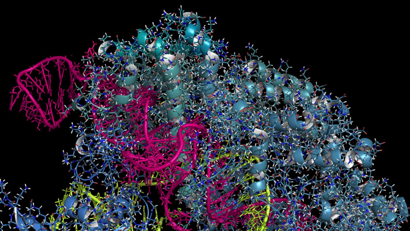 Imagen de CRISPR ML.