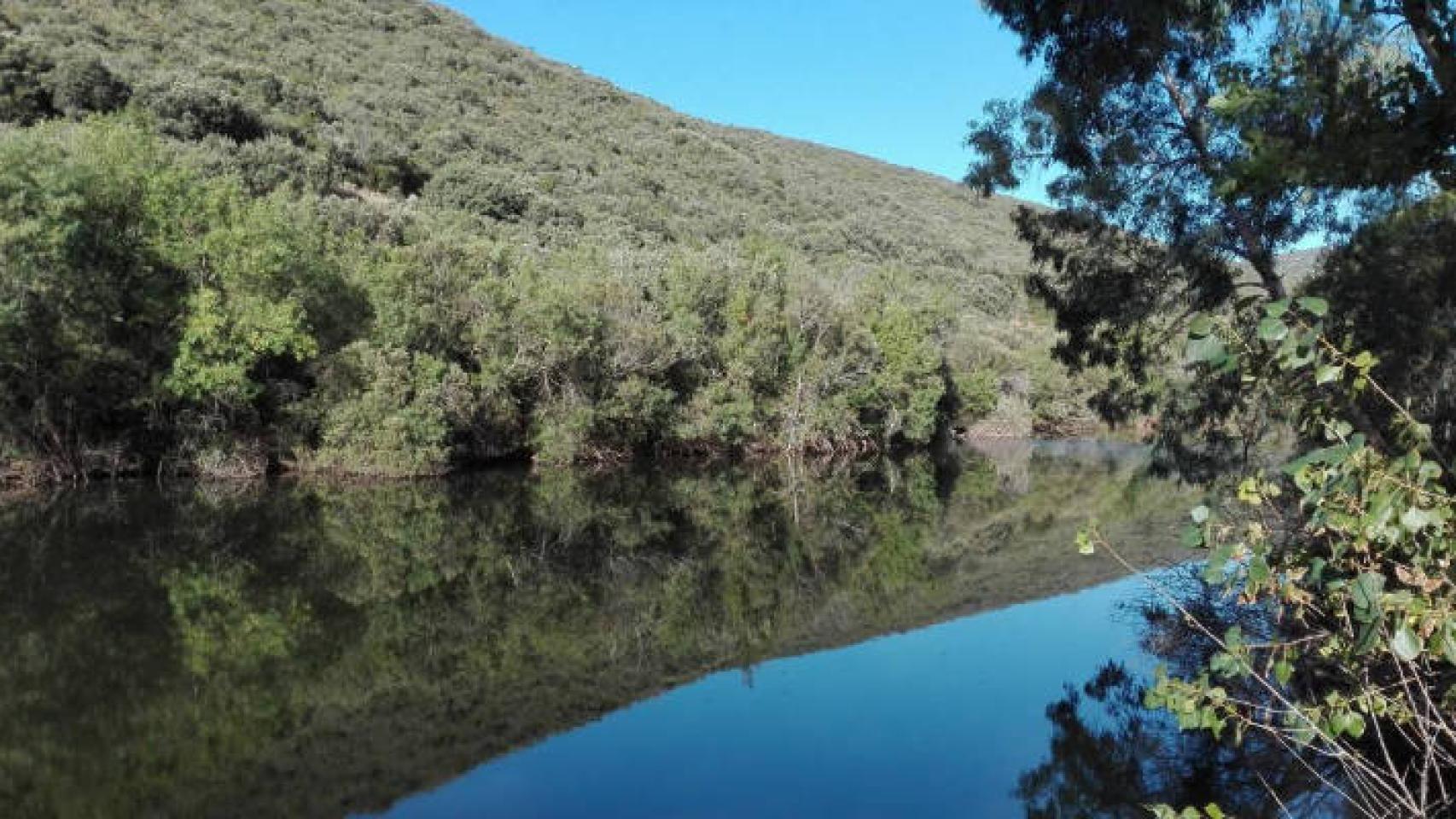 Tabla de la Yedra. Foto: turismodeobservacion.com