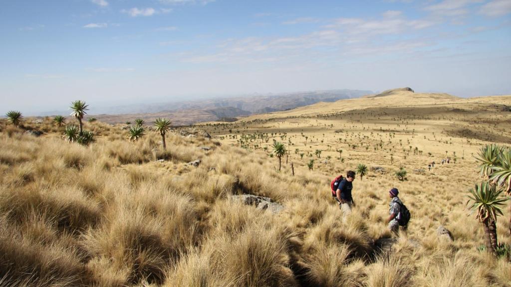 Etiopía tiene montañas que sobrepasan los 3.000 metros de altitud, ideales para hacer senderismo.