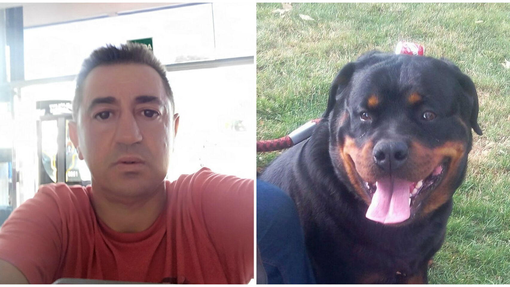 El perro que mató a Miguel Ángel en su casa, en Coslada.