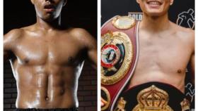Dos cuñados que no se llevan bien  se juegan el título mundial de boxeo