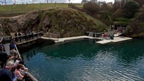 Los visitantes del Aquarium de A Coruña podrán dar de comer a las focas