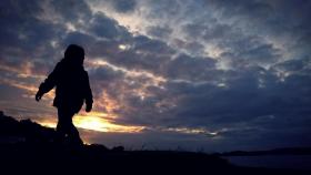 Un joven camina por el pinar de la playa de A Madalena, en Galicia.