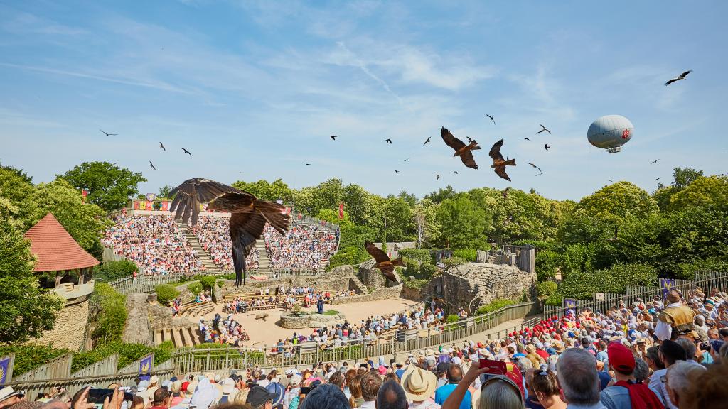 En 'El baile de los pájaros fantasmas' participan más de 200 aves de distintas especies.