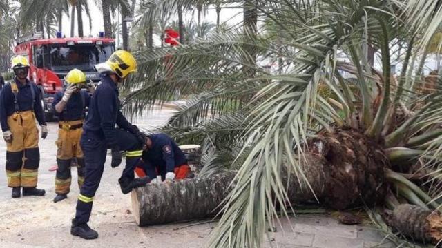 El SAMU 061 de Palma de Mallorca en una salida de emergencias.