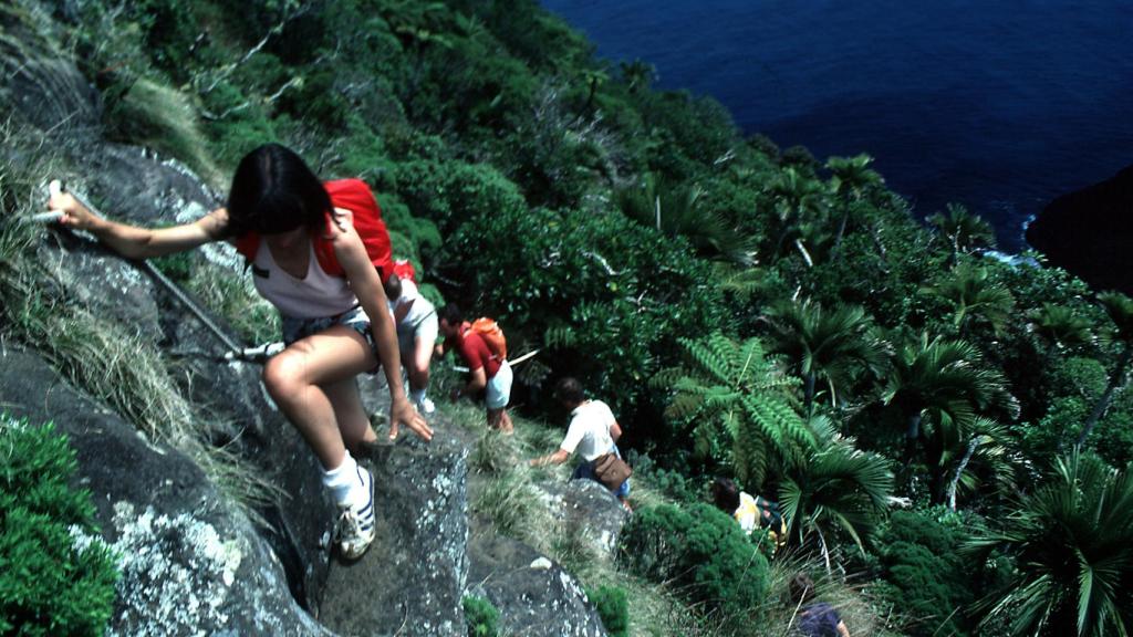 El montañismo es una de las actividades que se pueden practicar en Lord Howe.