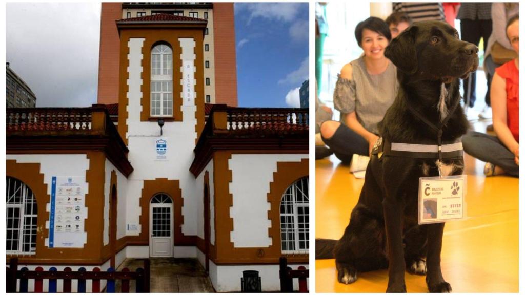 La asociación organiza un taller de lectura con el perro Seven