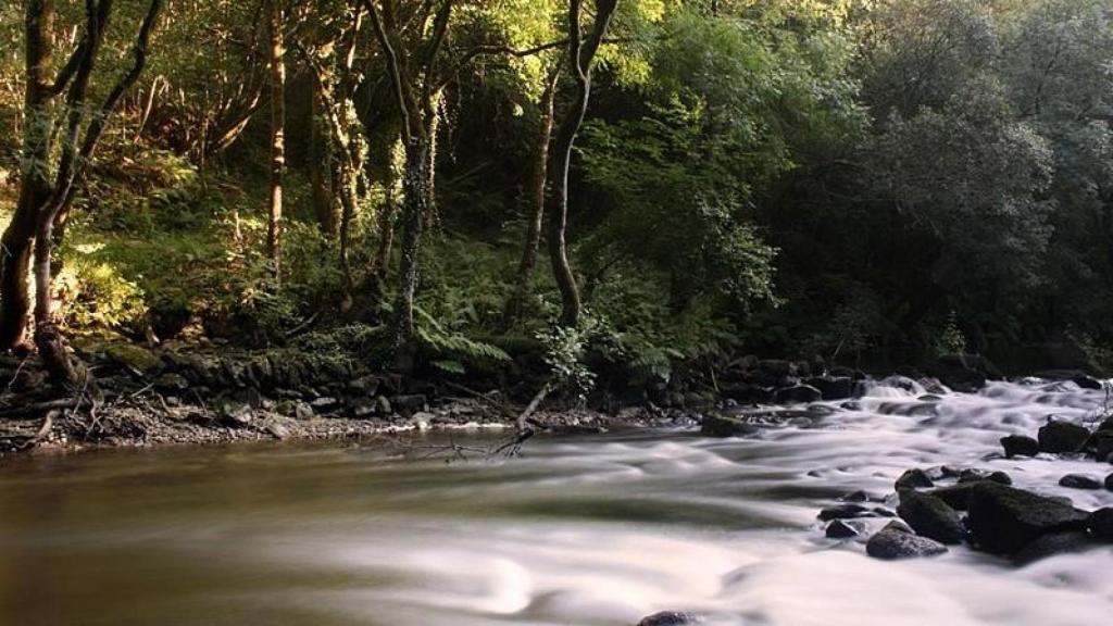 Doce ríos gallegos en riesgo de desbordamiento, entre ellos el Eume, el Mandeo y el Xallas