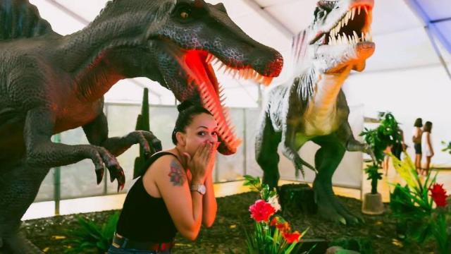 Dinosaurs Tour: la mayor exposición de dinosaurios animatrónicos llega A Coruña