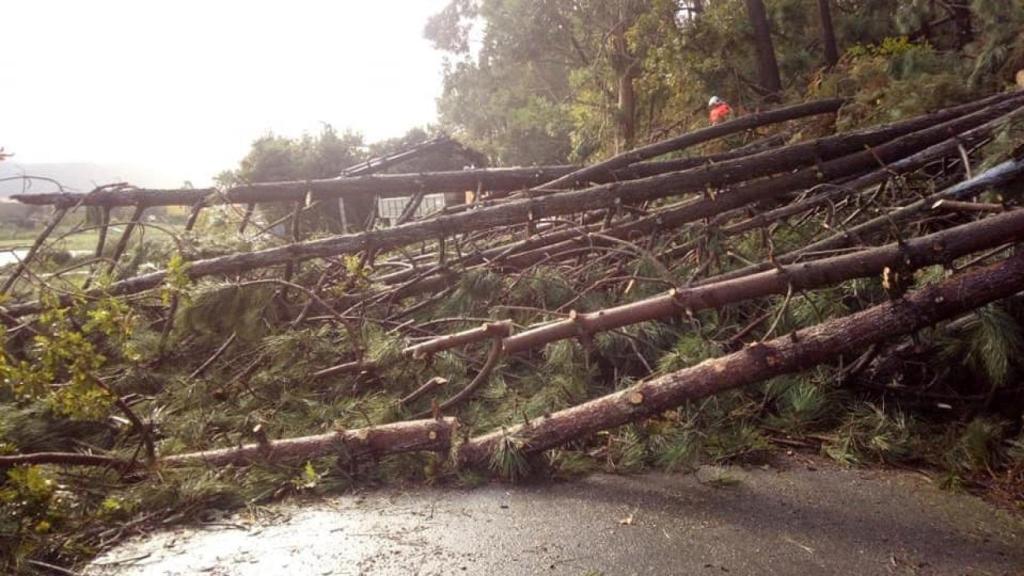 Un tornado en Arteixo provoca la caída de diversos árboles y cables del alumbrado público