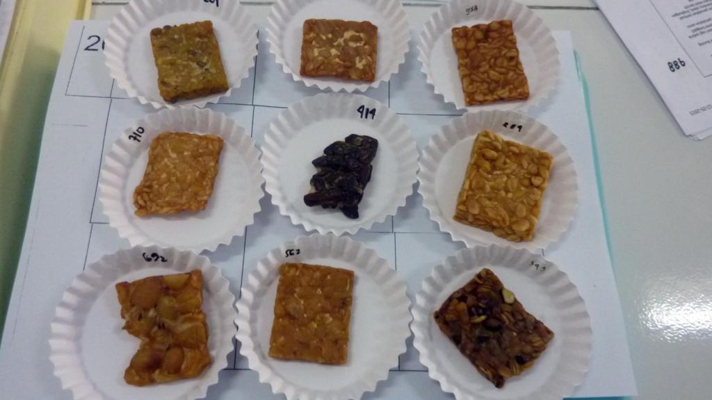 Los distintos tipos de tempeh empleados en el estudio. Dwi Larasatie Nur Fibri, University of Copenhagen / Universitas Gadjah Mada.